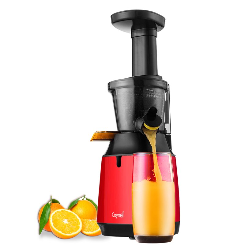 Caynel Slow Masticating & Cold Press Juicer & Reviews | Wayfair